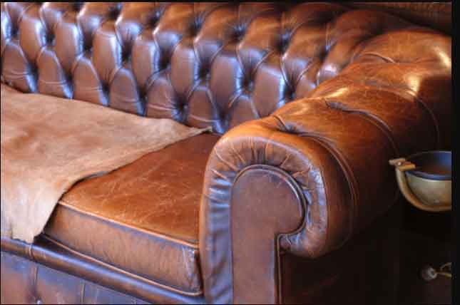 Things to Consider Before Purchasing Leather Furniture