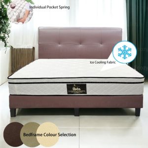 Hola Individual Pocket Spring Mattress Bundle Package