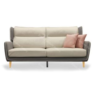 Allison Minimalist Fabric Sofa 1